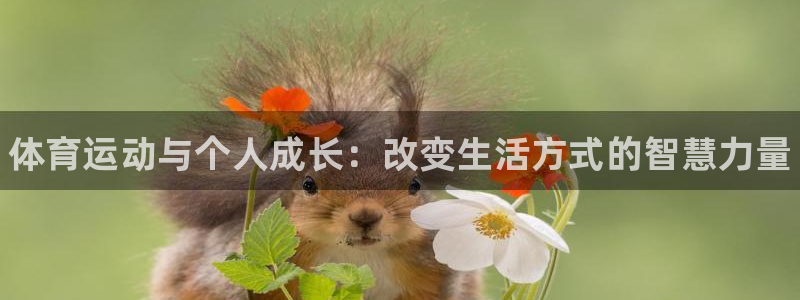 3377体育官方正版app娱乐