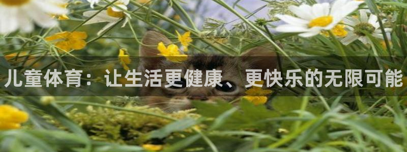 3377体育官方正版app集团简介：儿童体育：让生活