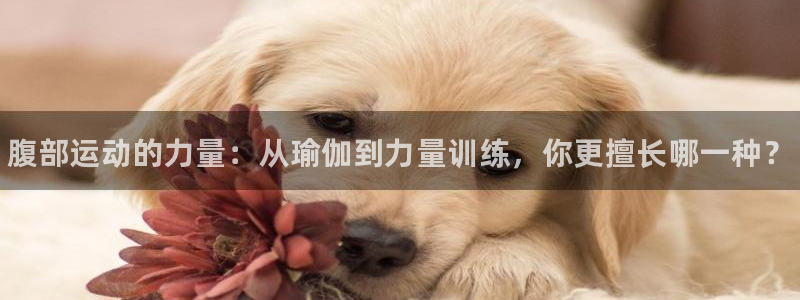 3377体育官方正版app娱乐首页官网下载：腹部运动
