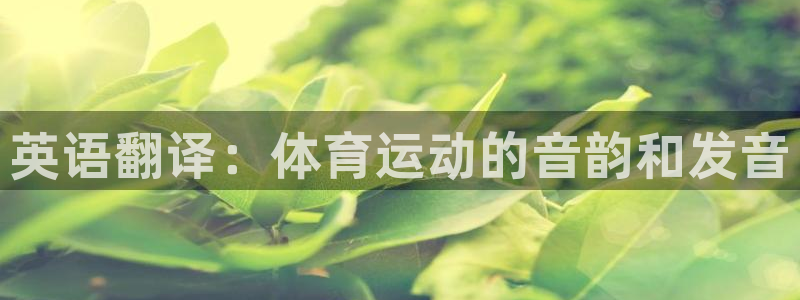 3377体育官方正版app官方：英语翻译：体育运动的音韵和发