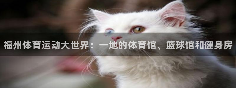 3377体育官方正版app科技：福州体育运动大世界：一地的体