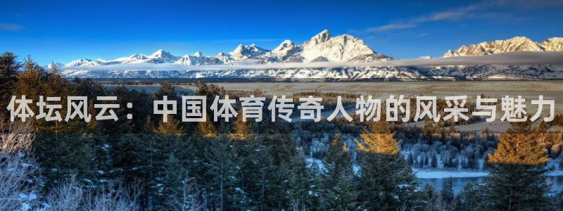 3377体育官网下载是干嘛的公司：体坛风云：中国体育