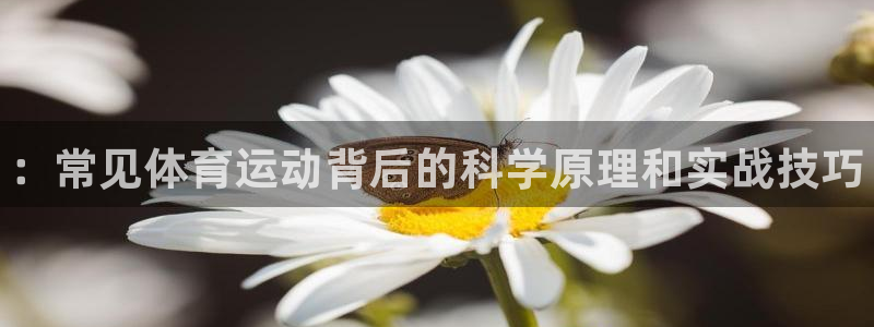 3377体育官网下载平台注册要钱吗安全吗：：常见体育运动背后