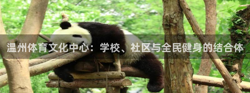 3377体育官方正版app娱乐40996