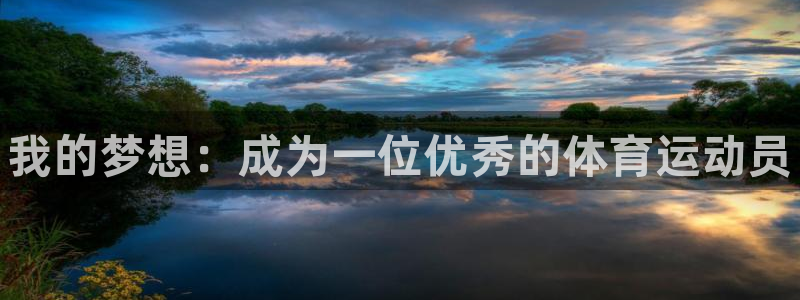 3377体育官方正版app新能源：我的梦想：成为一位