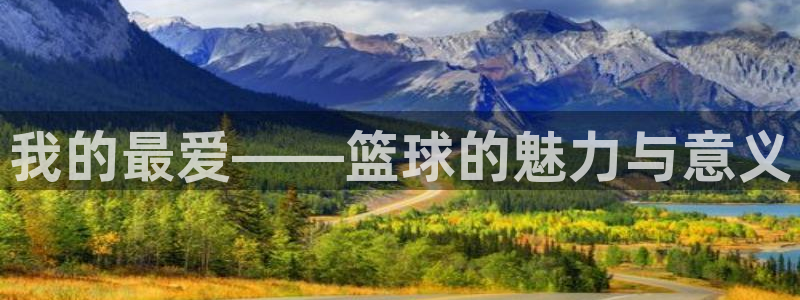 3377体育官网下载平台注册：我的最爱——篮球的魅力