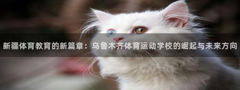 3377体育官方正版app集团官网首页：新疆体育教育