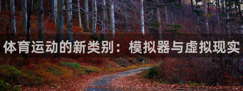3377体育官网下载招商：体育运动的新类别：模拟器与