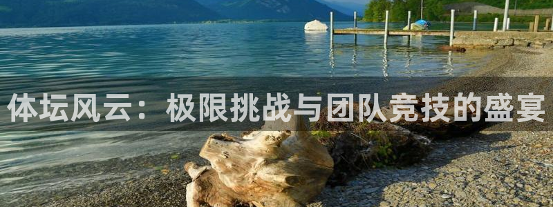 3377体育官方正版app集团