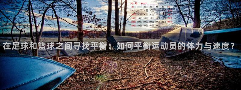 3377体育官网下载招商电话是多少啊:在足球和篮球之间寻找平