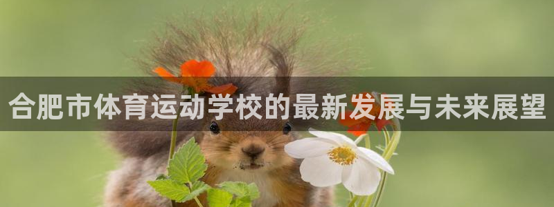 3377体育官方正版app集团官网首页网址：合肥市体