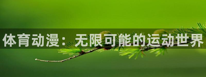 3377体育官网下载官方客服电话