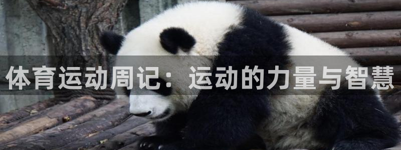 3377体育官方正版app神州：体育运动周记：运动的