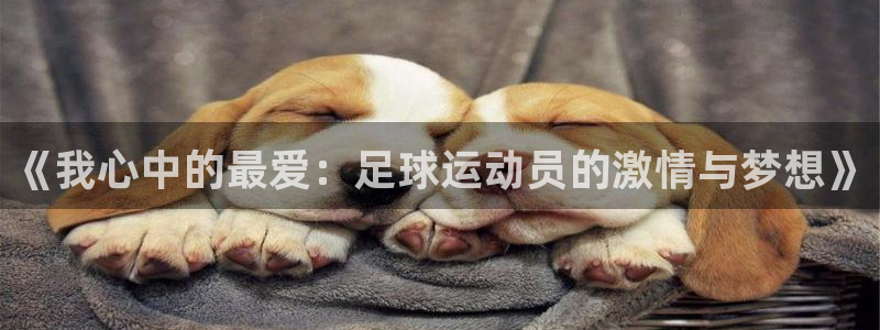 3377体育官网下载官方客服电话:《我心中的最爱:足球运动员