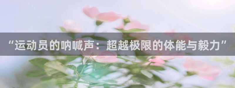 3377体育官方正版app娱乐