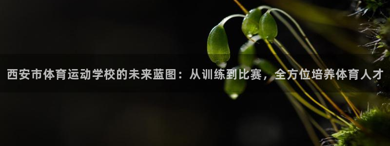 3377体育官网下载平台APP