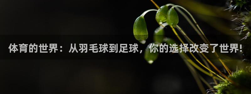 3377体育官方正版app官方：体育的世界：从羽毛球到足球，