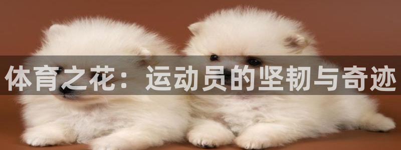 3377体育官网下载招商电话地址查询：体育之花：运动