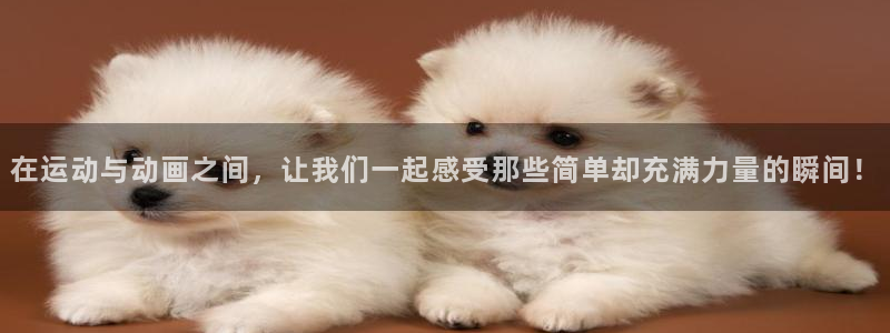 3377体育官方正版app集团：在运动与动画之间，让我们一起